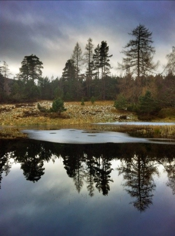 Scotish Loch with ice