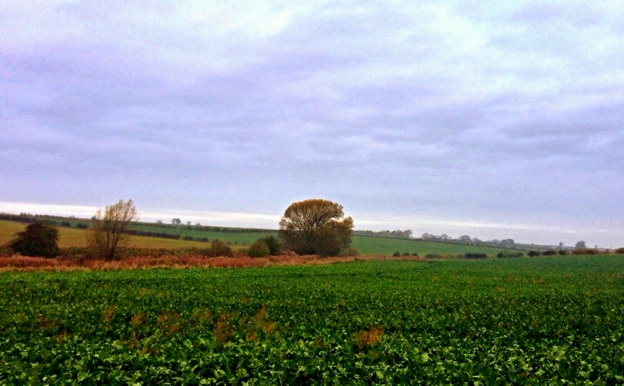 Walking in Lincolnshire