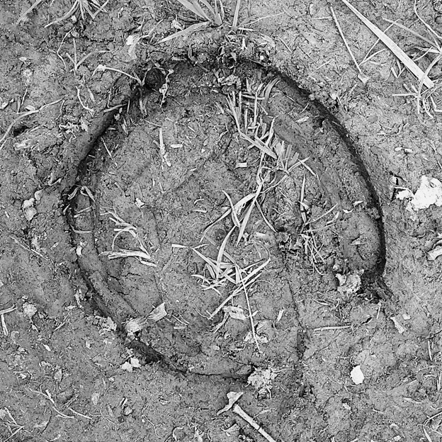 Horse shoe print