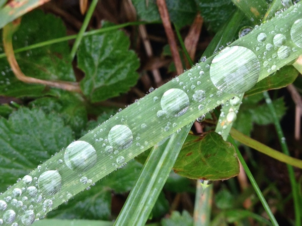 Rain drops