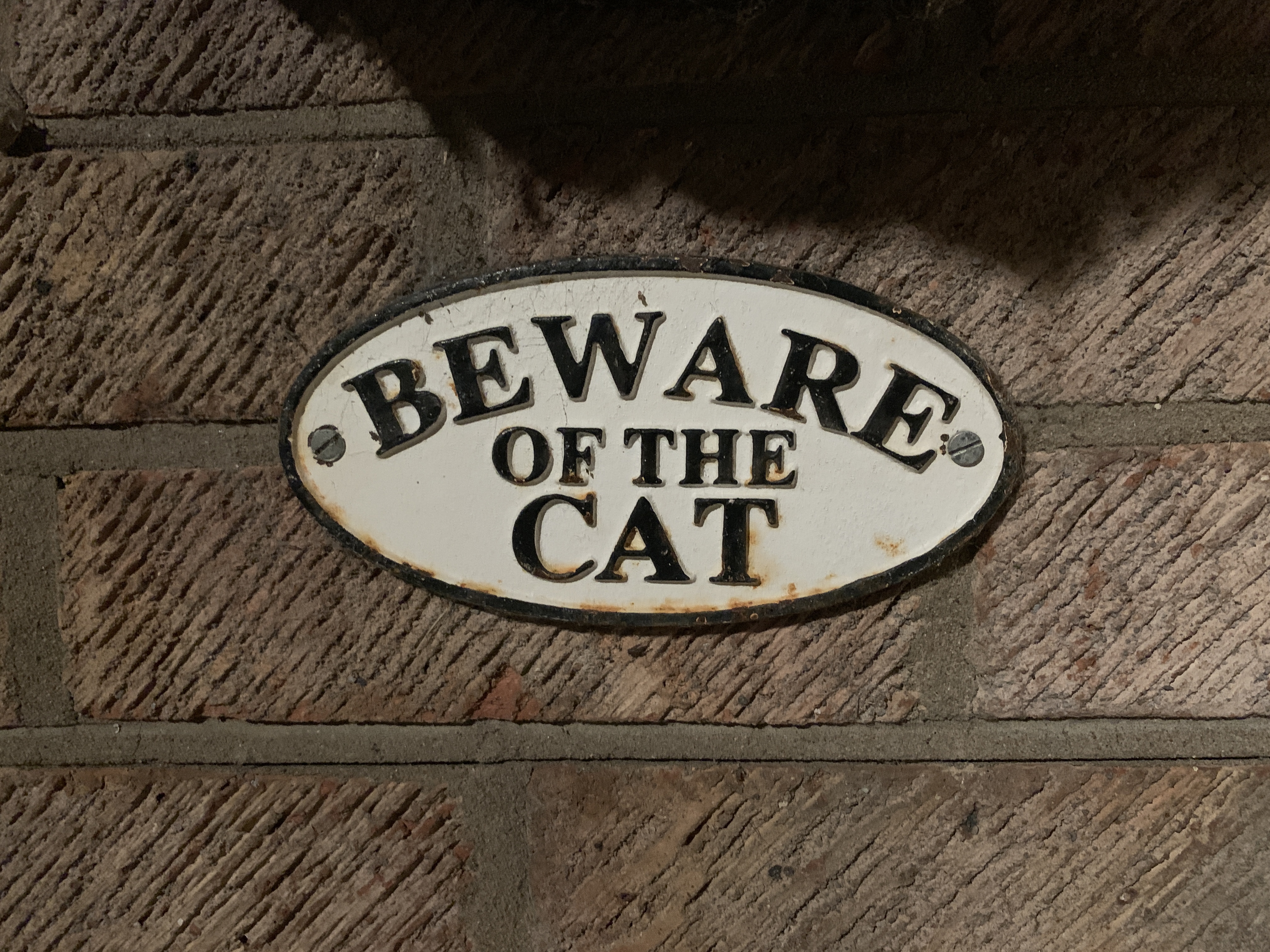 Beware of the Cat