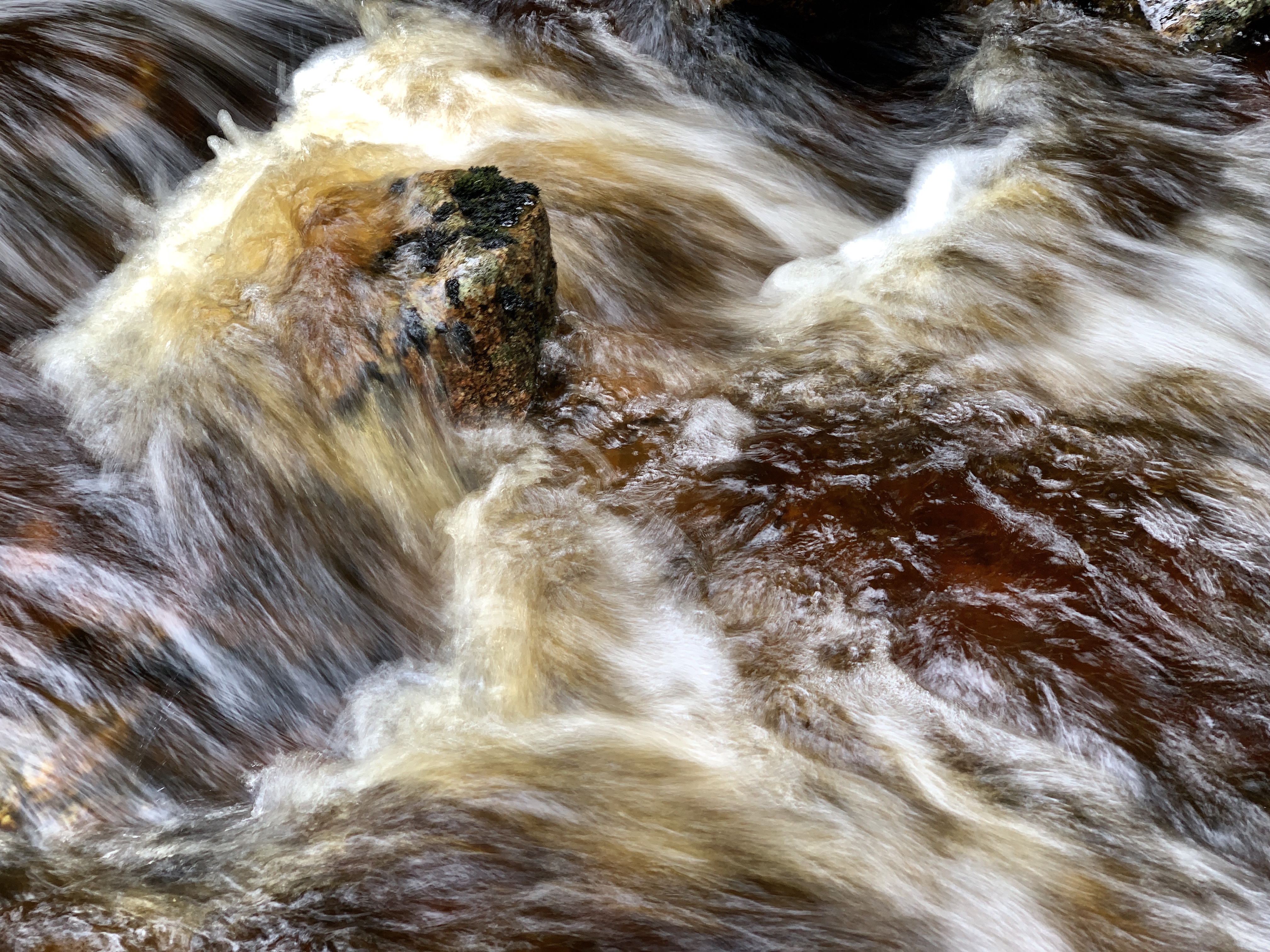 Walking in the Cairngorms