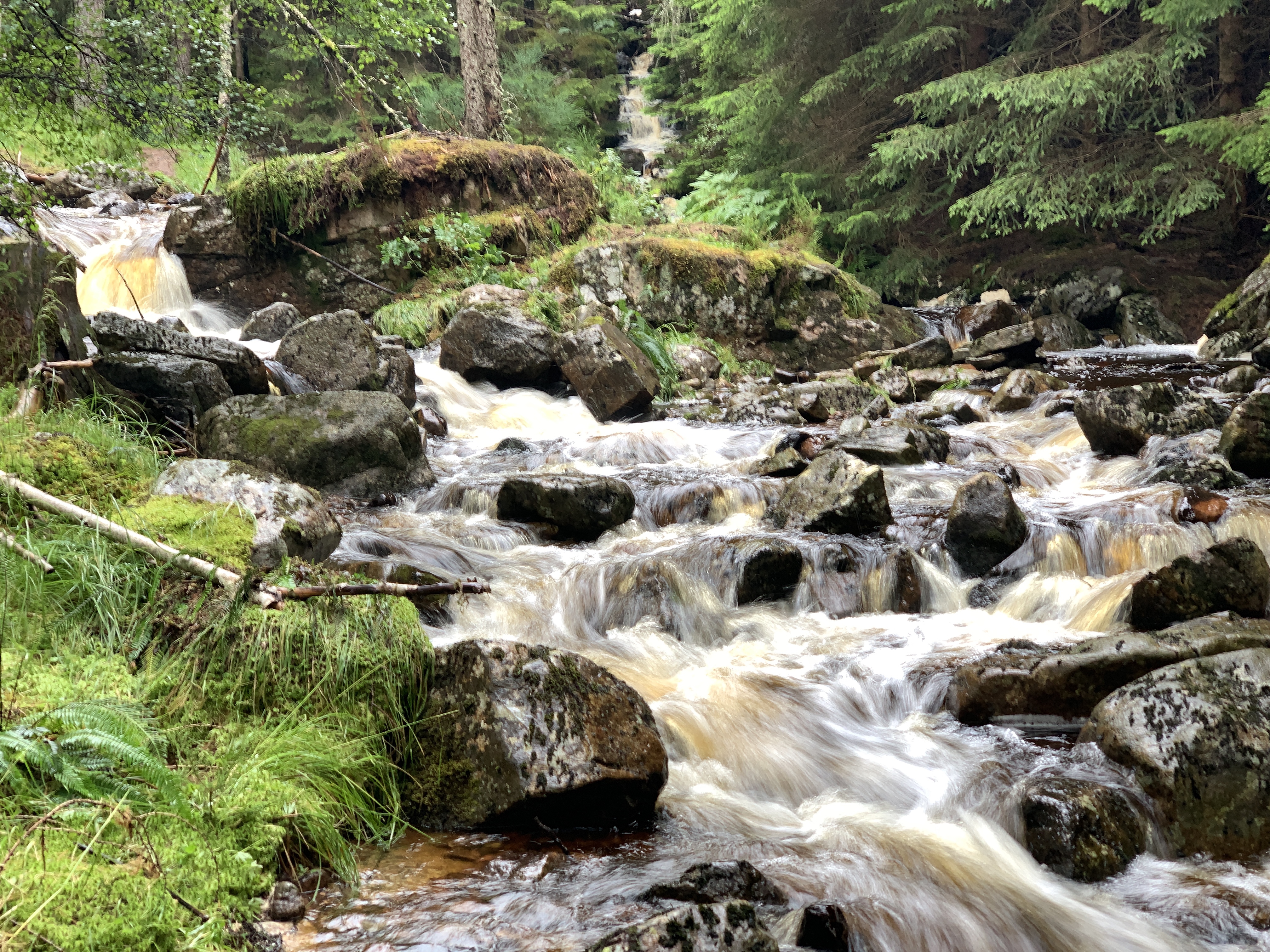 Walking in the Cairngorms