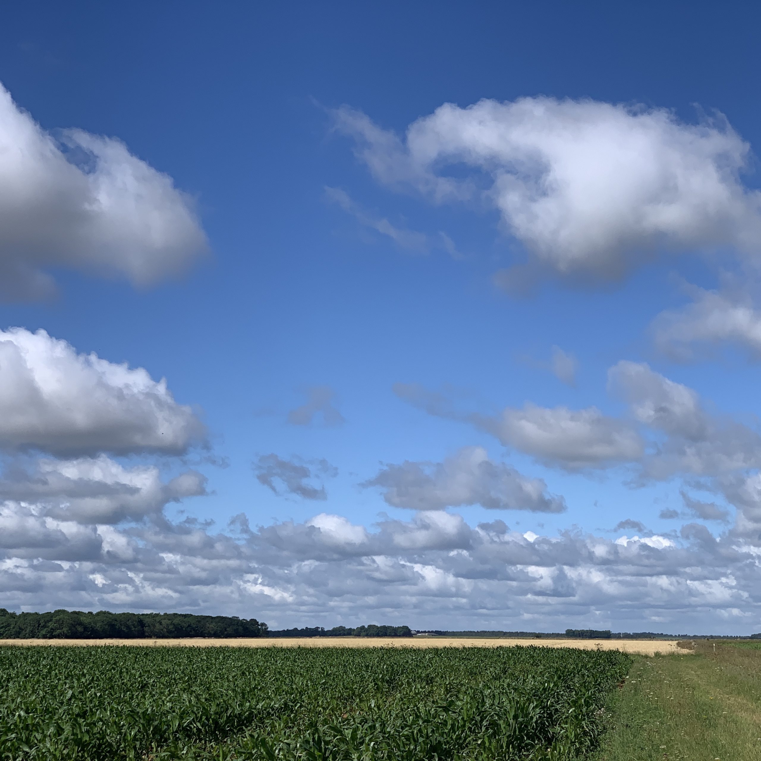 Out walking in Lincolnshire