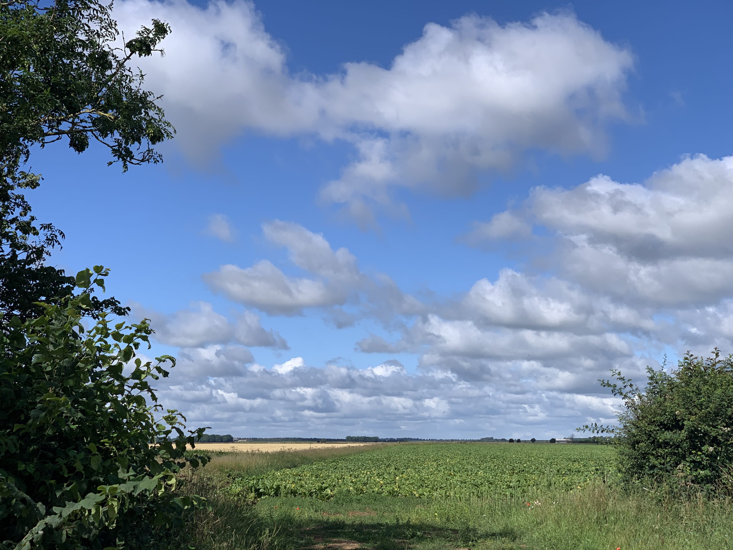 Out walking in Lincolnshire