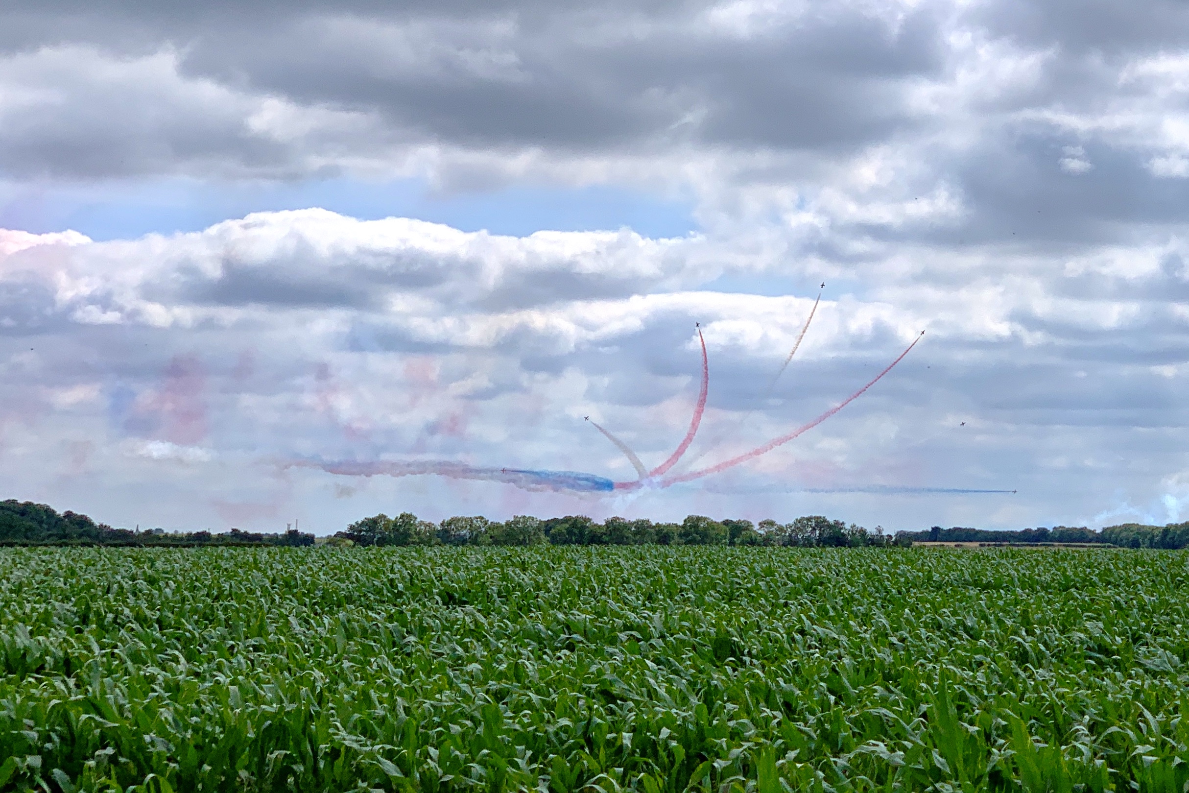 The Red Arrows