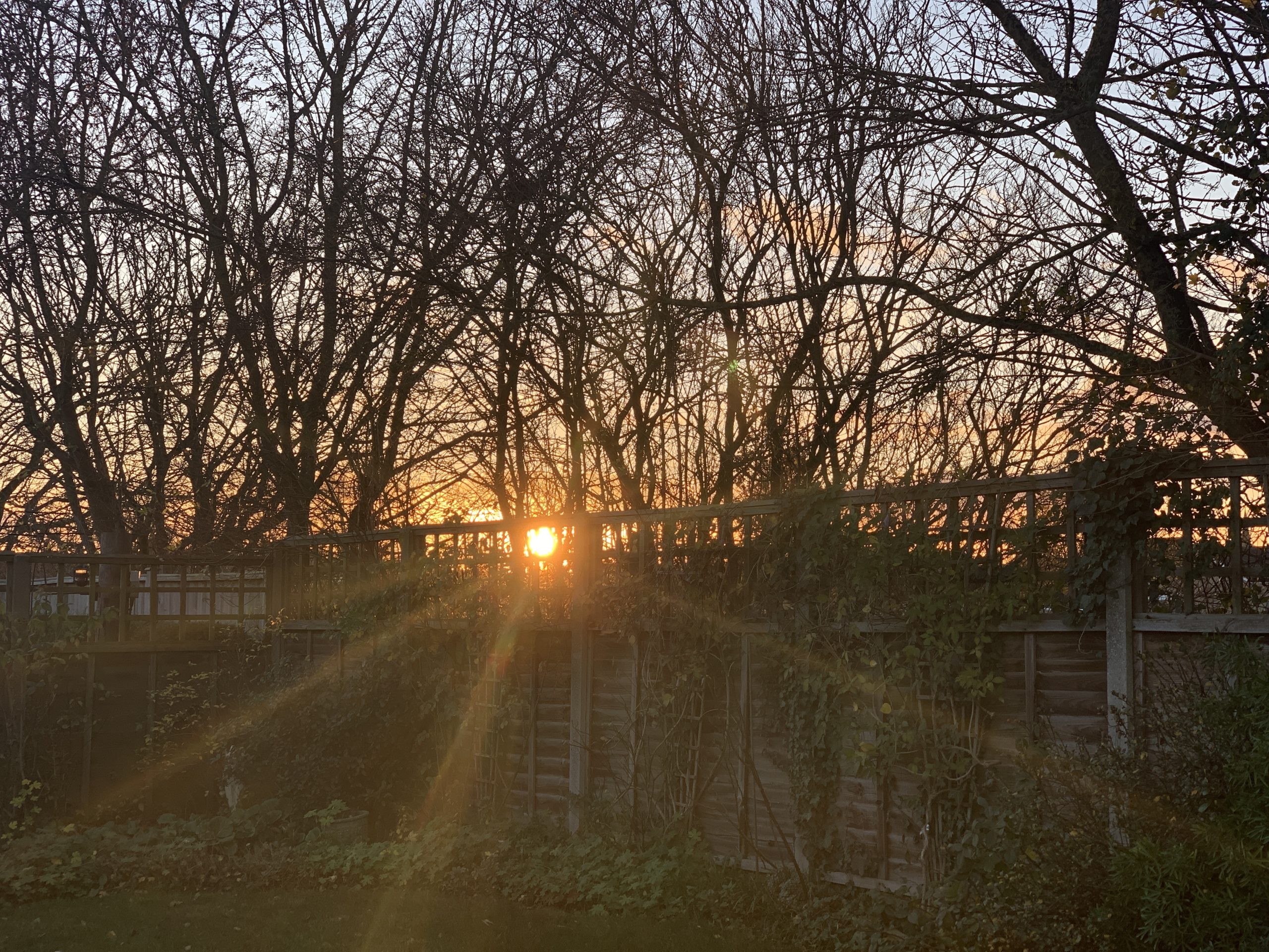 Sunset from the garden​