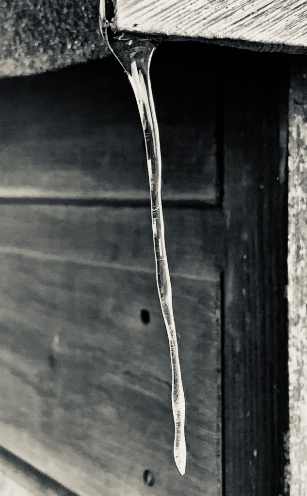 Wind blown icicle ​