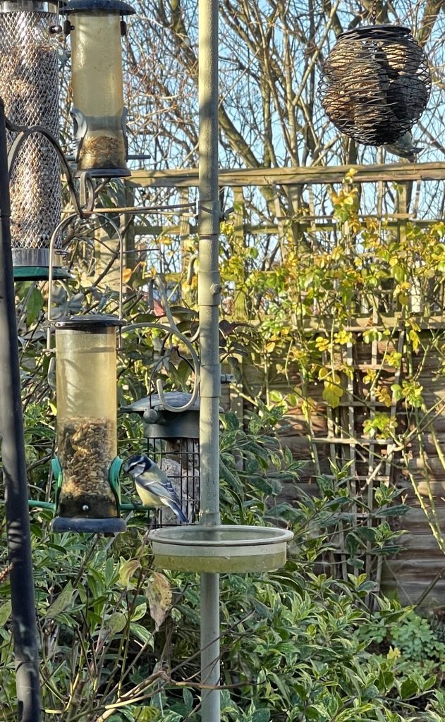 Bird feeders​