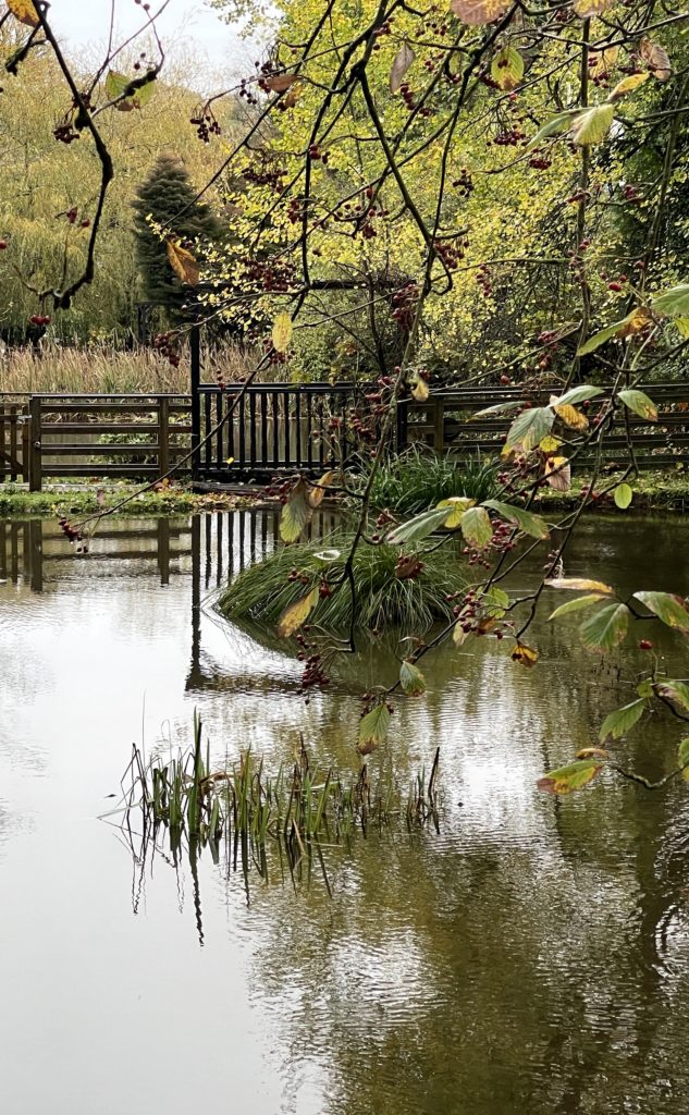 Woodford Bridge Country Club lake