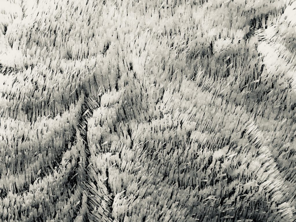 Frost