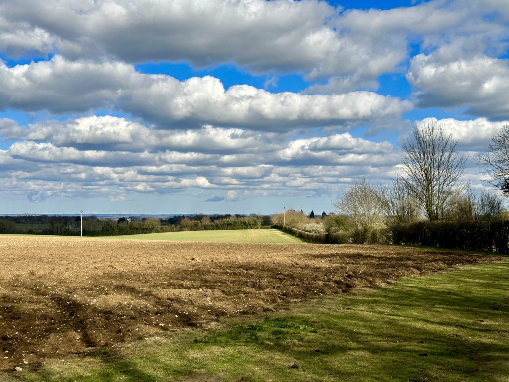 Lincolnshire fields