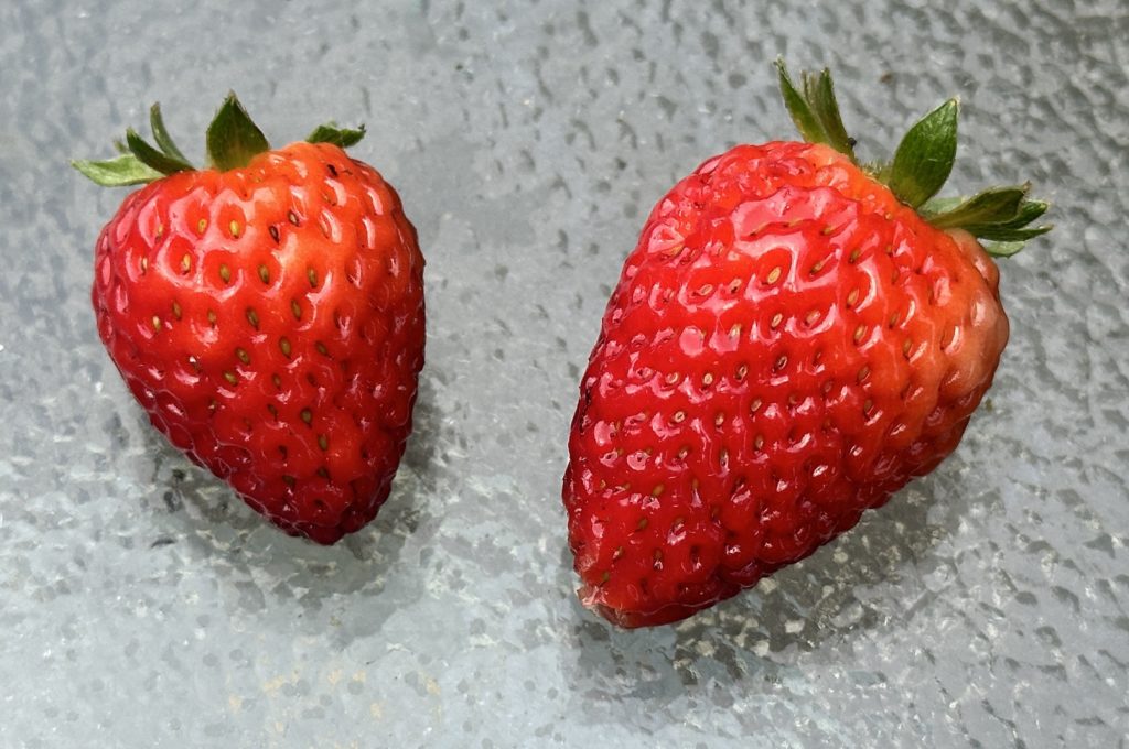 Strawberries 