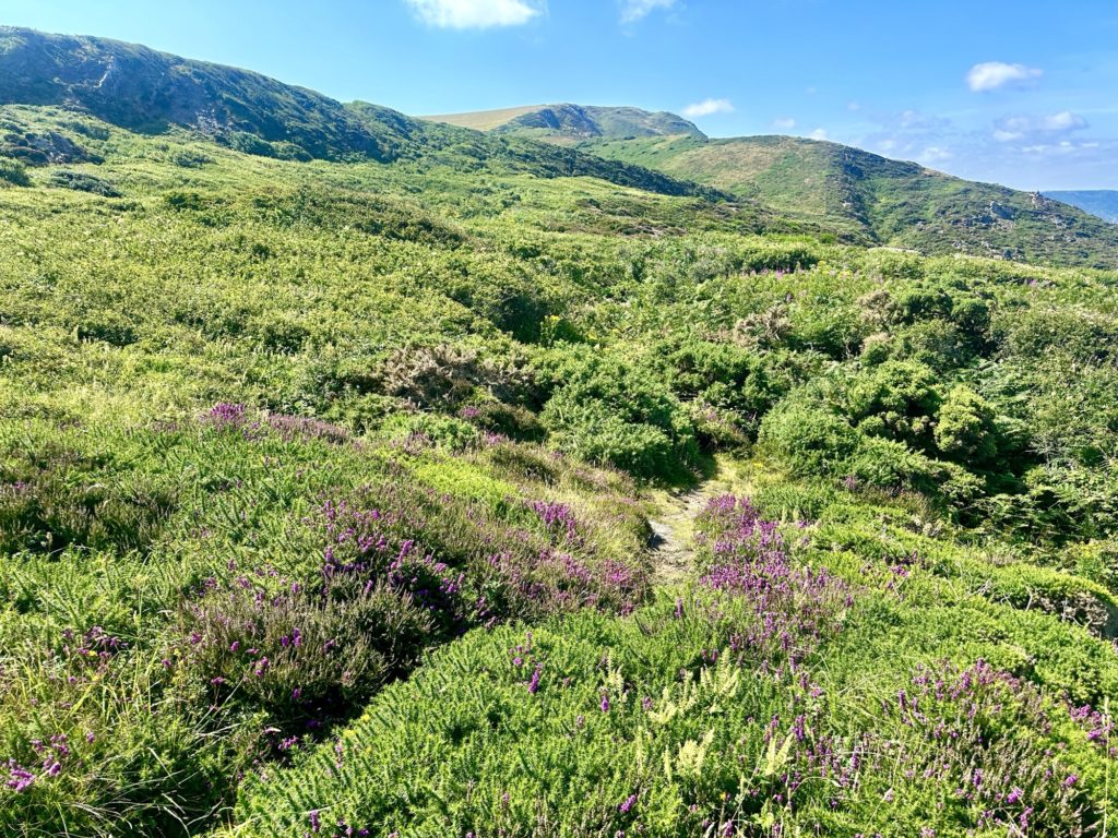 Cornish hills