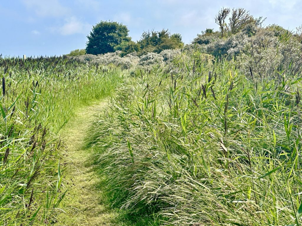 Lincolnshire coast