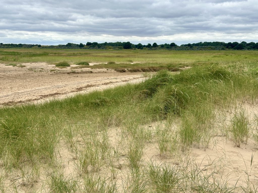 Lincolnshire Coast