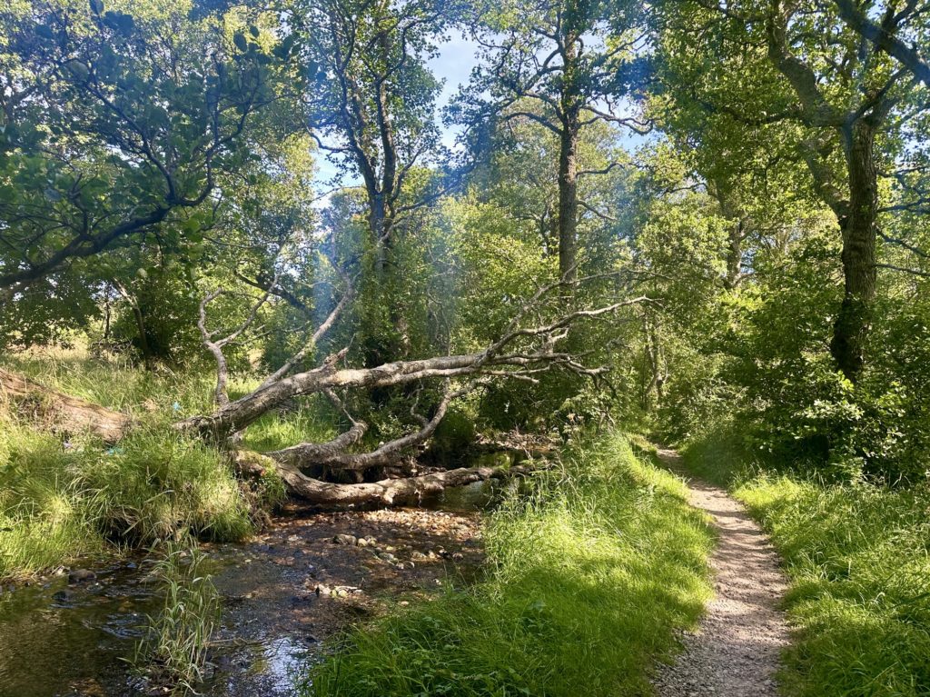 River Spey​ footpath 