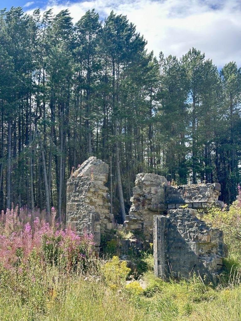 Moray Coast and Forest​