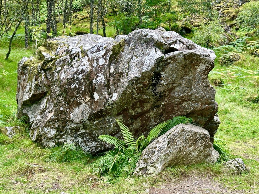 Craigellachie National Nature Reserve