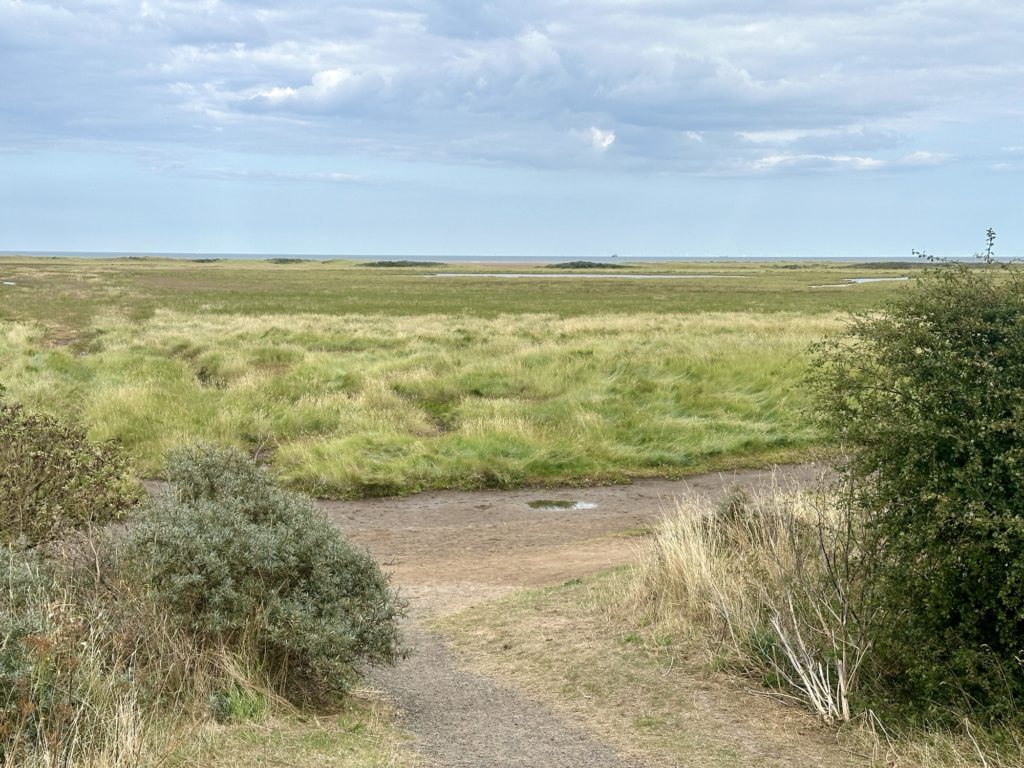 Lincolnshire Coast​