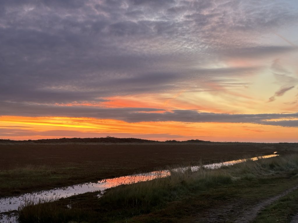 Saltfleet and Threddlethorpe sunrise over the marshes