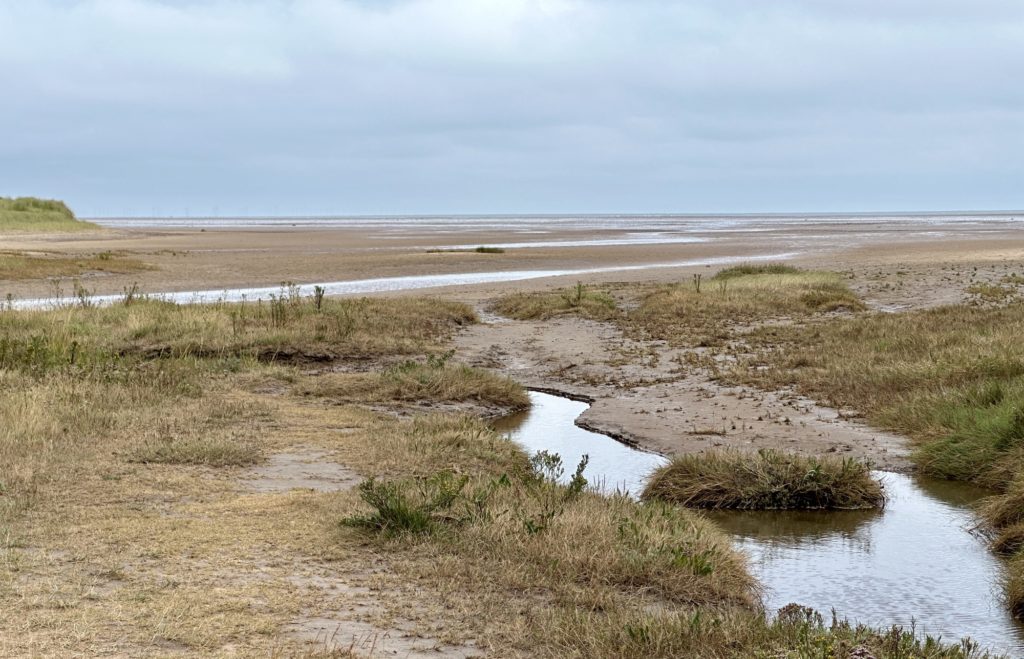 Lincolnshire coast