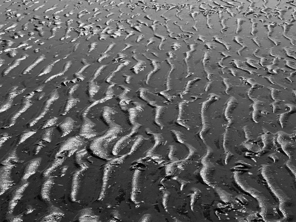 Sand ripples