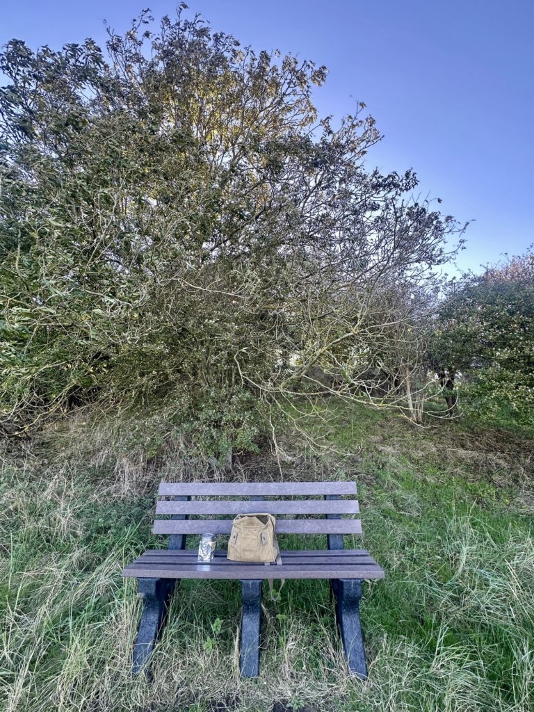 Bench on the coast near Saltfleet