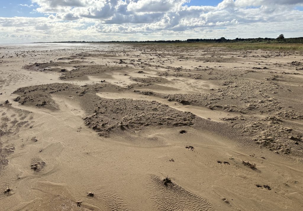 Looking towards Mablethorpe