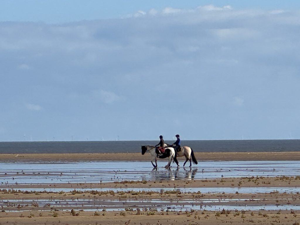 Horses on the beach