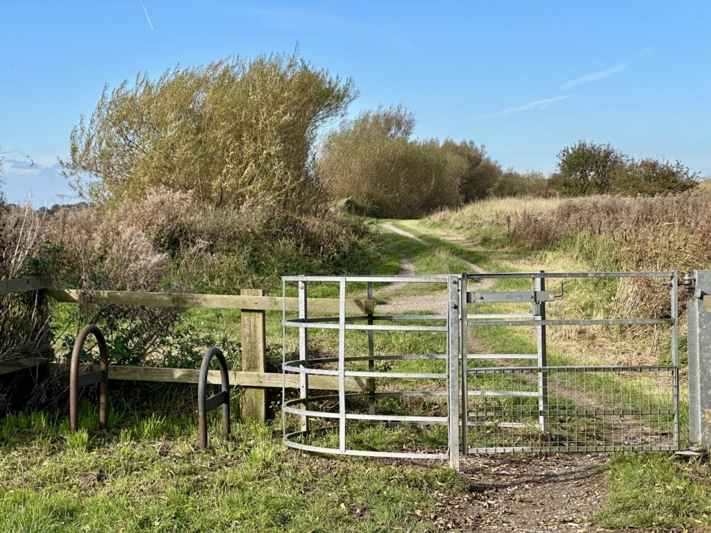 Saltfleetby and Theddlethorpe Dunes