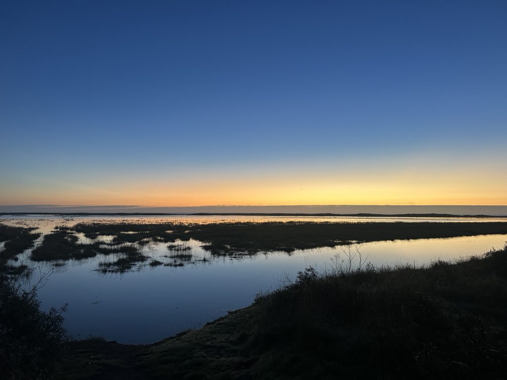 Saltfleetby and Theddlethorpe marshes at sunrise