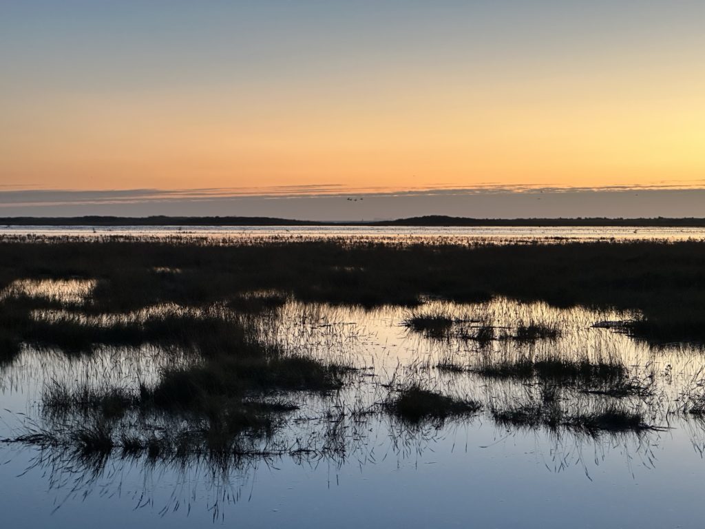 Saltfleetby and Theddlethorpe marshes at sunrise