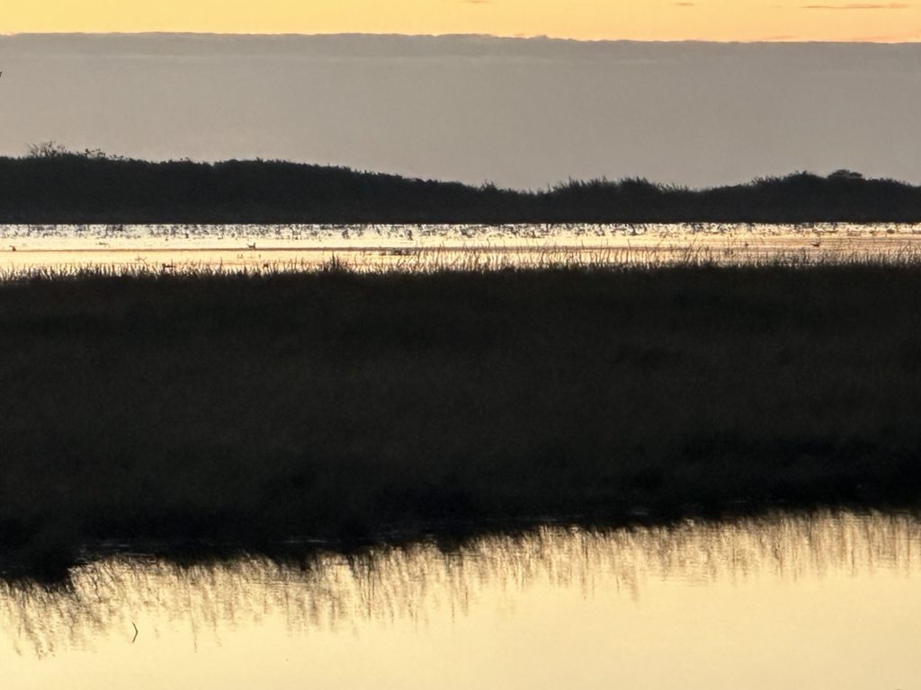 Saltfleetby and Theddlethorpe marshes at sunrise