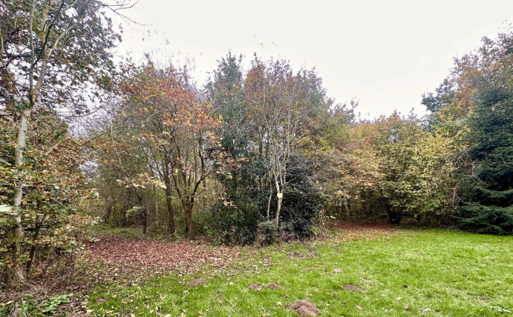 Horncastle Community Wood