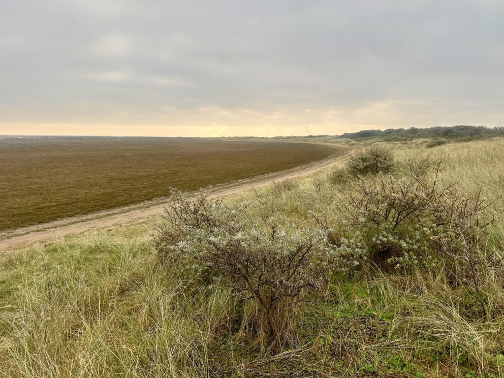 Saltfleetby and Theddlethorpe Dunes