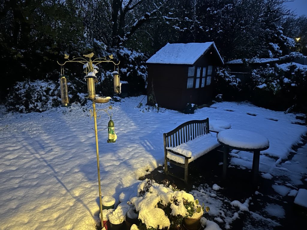 Snow on the shed