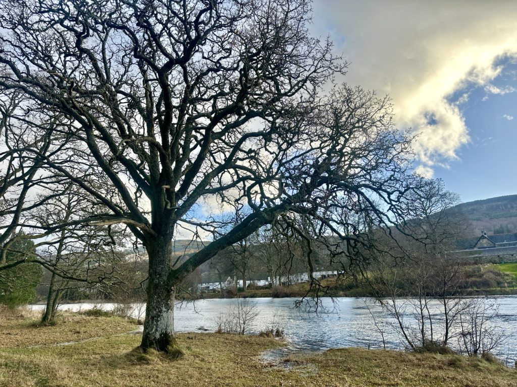 Walk along the River Tay​