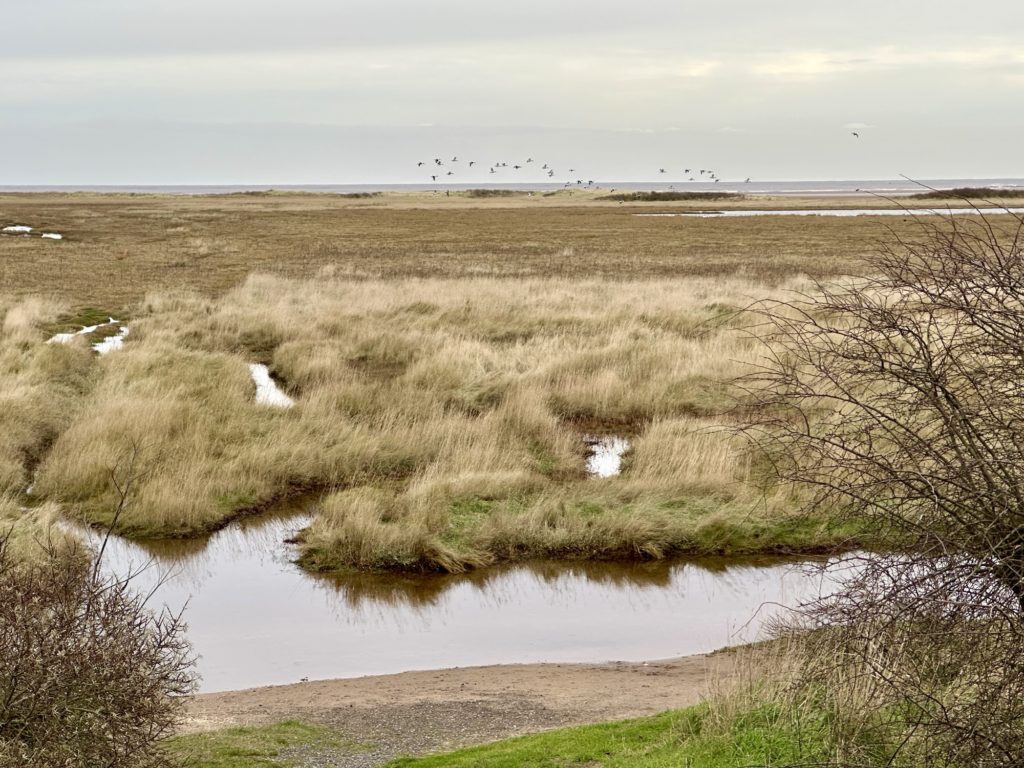 Saltfleetby and Theddlethorpe Dunes, 