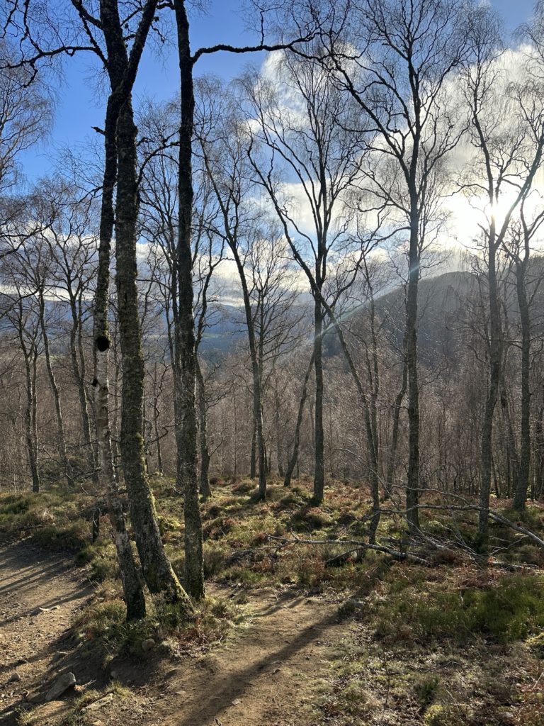 Craigellachie National Nature Reserve