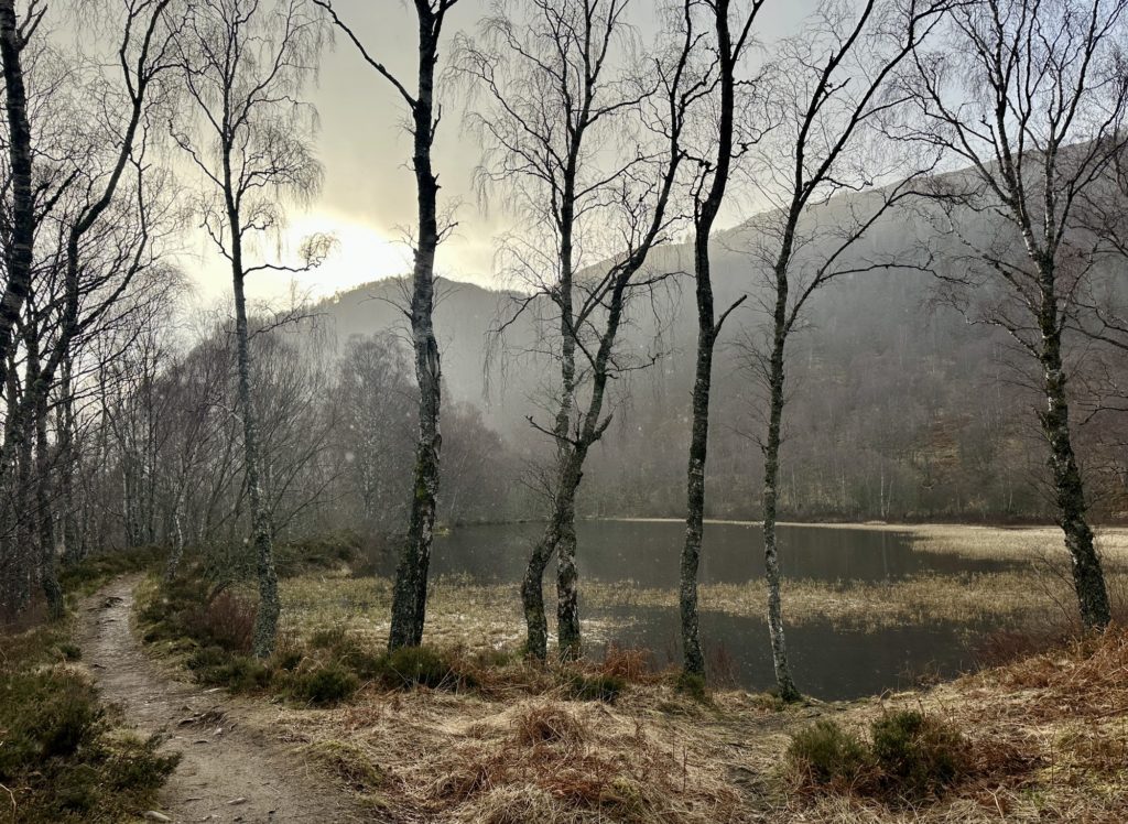 Craigellachie National Nature Reserve