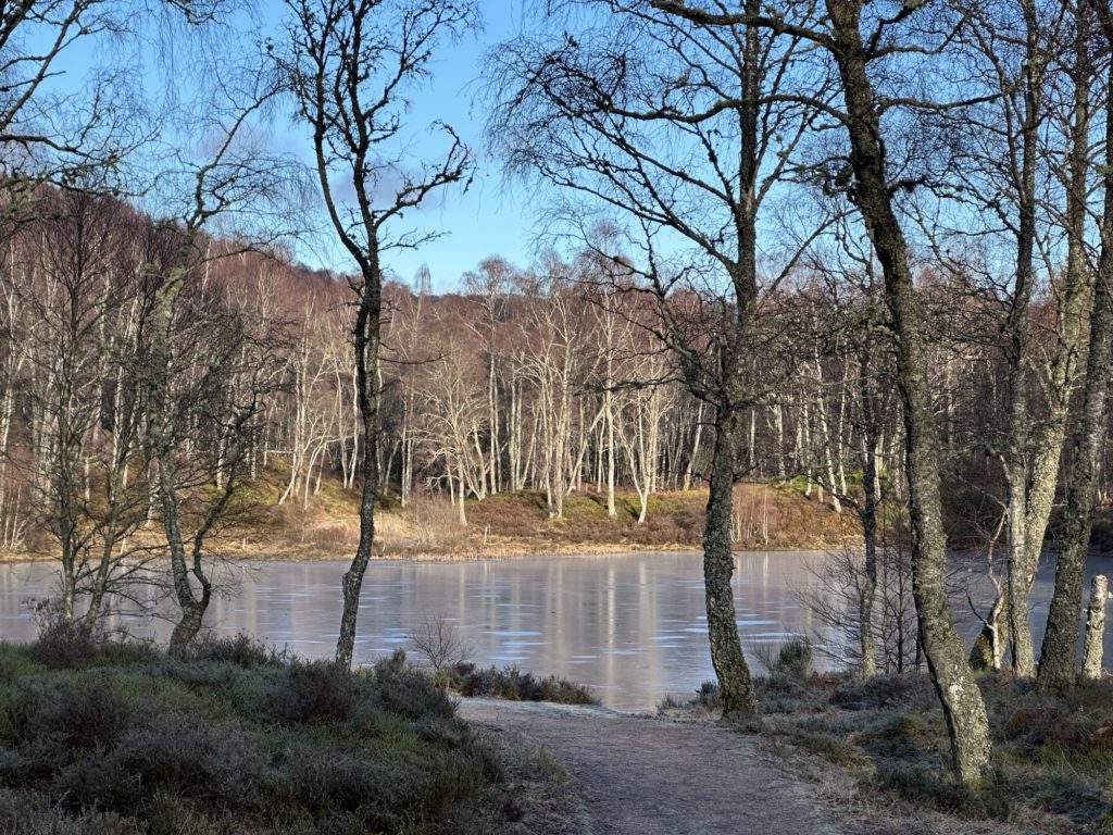 Loch Puladdern