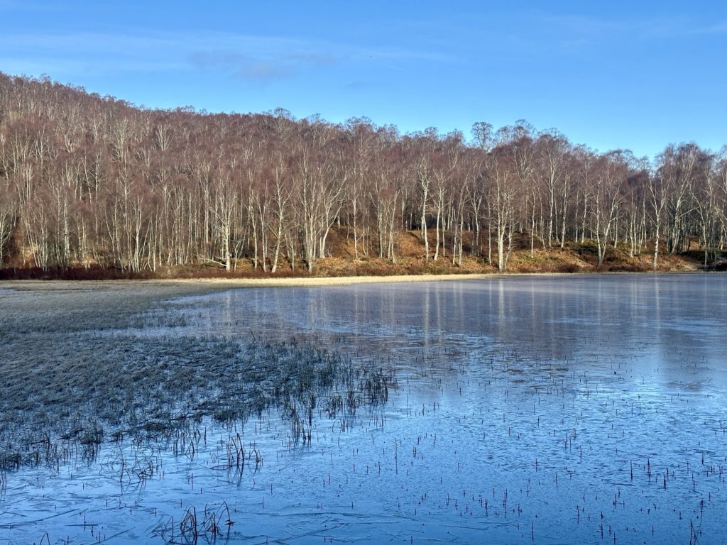 Craigellachie National Nature Reserve