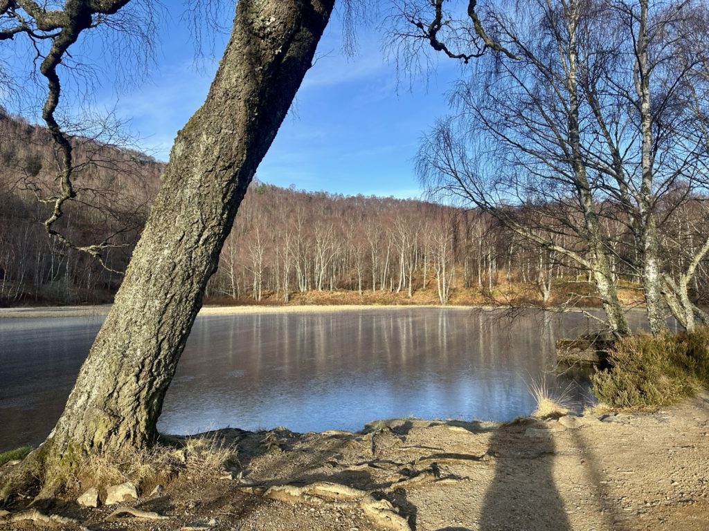 Craigellachie National Nature Reserve