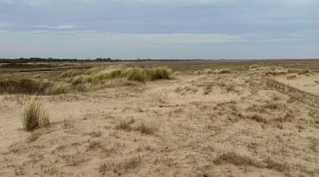 Lincolnshire dunes